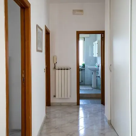 Salvius 스카파티